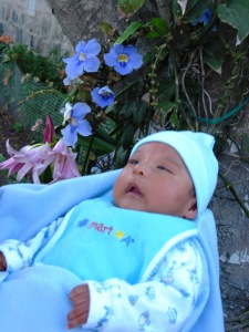 Perry Andrew at 2 months