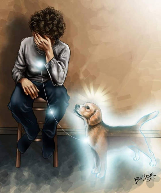 angeldogs.jpg