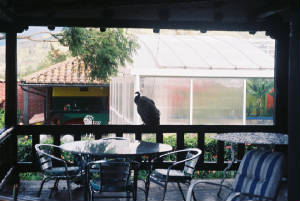 backporch.jpg