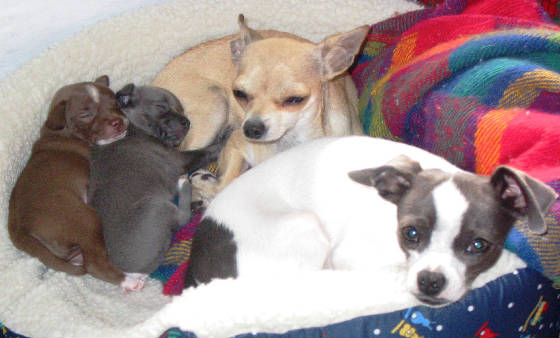familyof4.jpg