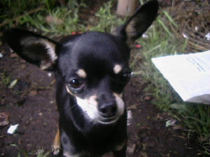 img1140.jpg
