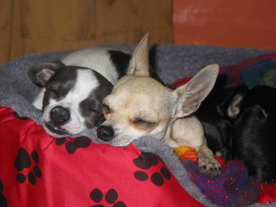 img4543.jpg