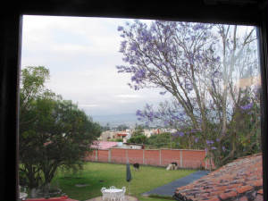 img_5376.jpg