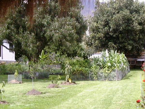 jardinveg.jpg