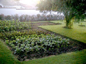jardinvegetales.jpg