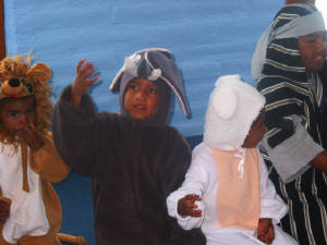 quitodec.2008189.jpg