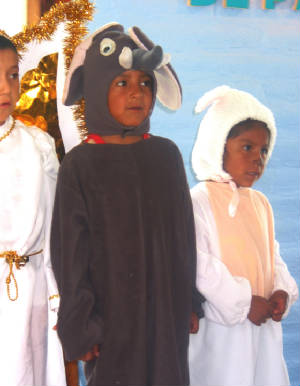 quitodec.2008196.jpg