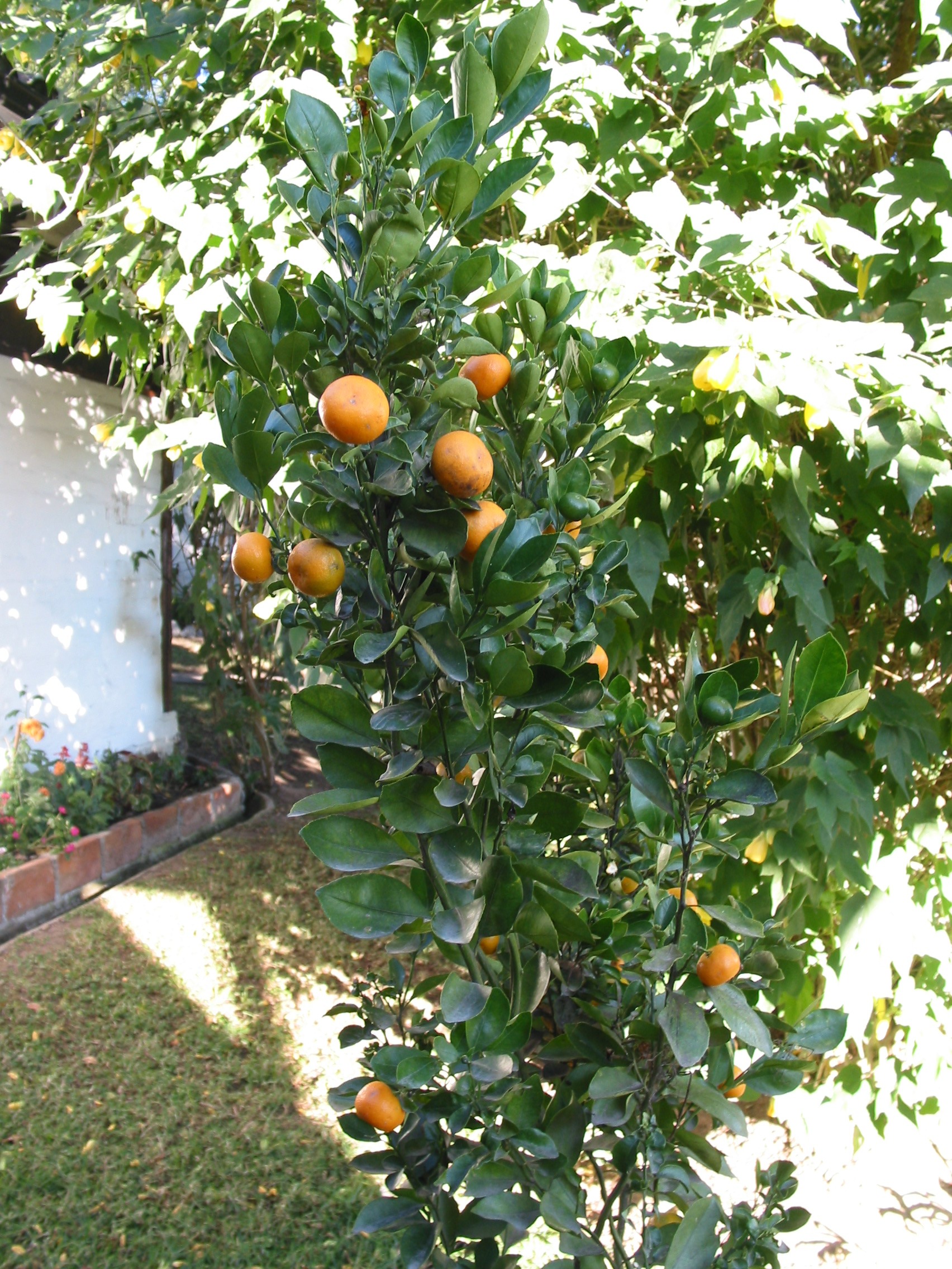 img_5567.jpg